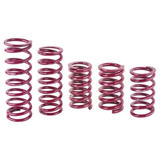 Eibach Rear Racing Springs, 5 x 13 Inch