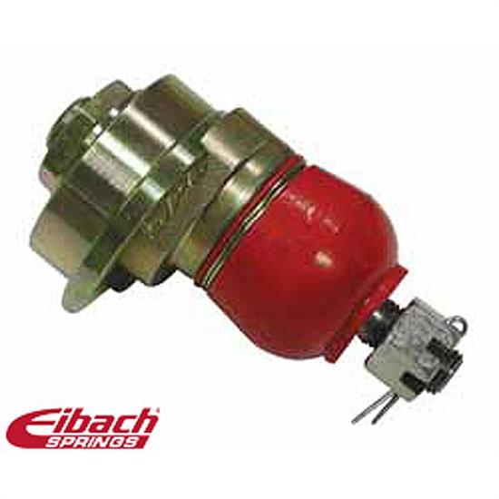 Eibach 5.67170K Pro-Alignment Camber Bolt Kit, Dodge