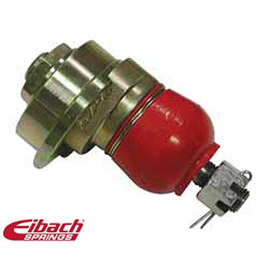 Eibach 5.67180K Pro-Alignment Camber Ball Joint Kit, Dodge