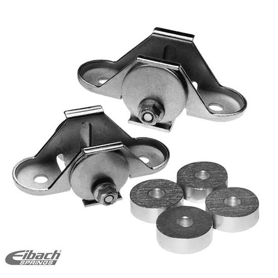 Eibach 5.73620K Pro-Alignment Camber Bolt Kit, Dodge