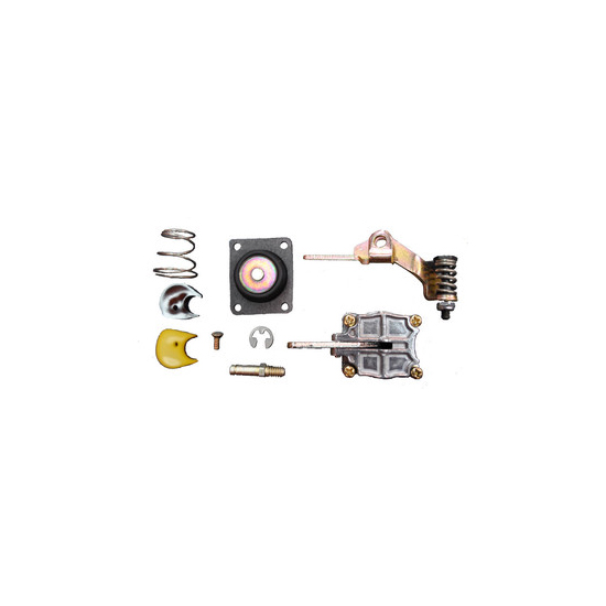 Quick Fuel 21-103QFT Fuel Accelerator Pump Kit, 50cc, 2300-4150