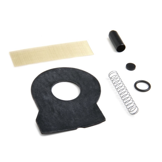 Holley 12-816 Fuel Pump Check Valve Kit