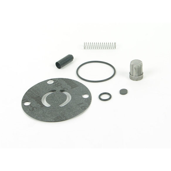 Holley 12-819 Fuel Pump Check Valve Kit