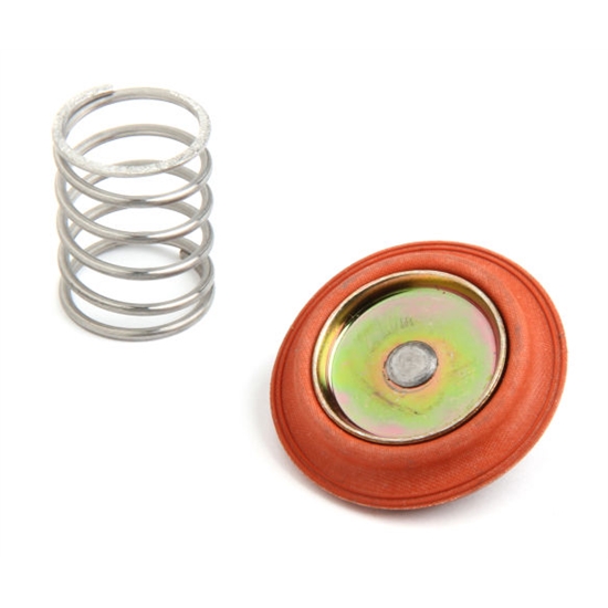Holley 12-822 Regulator Rebuild Kit