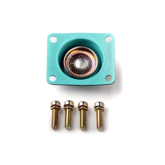 Holley 135-15 Carburetor Diaphragm, 50cc GFLT w/Screws