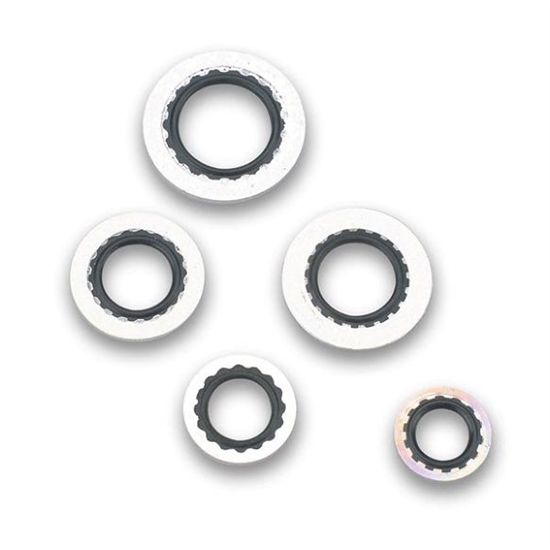 Earls 178005ERL Stat-O-Seal, 5/16 Inch Diameter, Set of 2