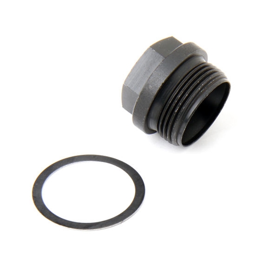 Holley 26-145 Fuel Inlet Plug, Steel, Small Hex 7/8-20