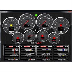 Holley 554-114 Dominator EFI ECU