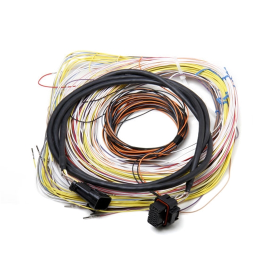 Holley 558-401 Dominator EFI Connector J2A Auxiliary Harness