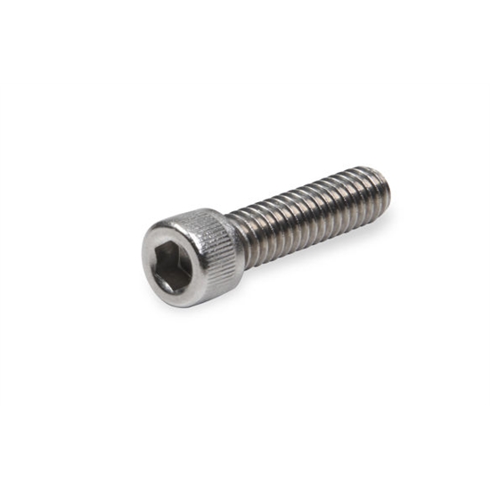 Holley 9919-141 Stainless Steel 1/4-20 Screw