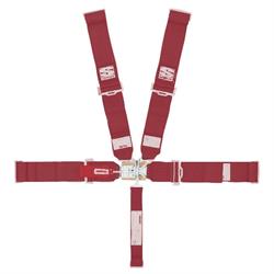 Simpson 55 Inch 5 Point Racing Harness Sport Belt Combo