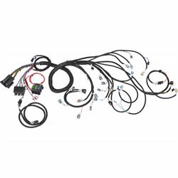 Speedway 2007-2008 LS2/LS3/LS7 Engine Wiring Harness