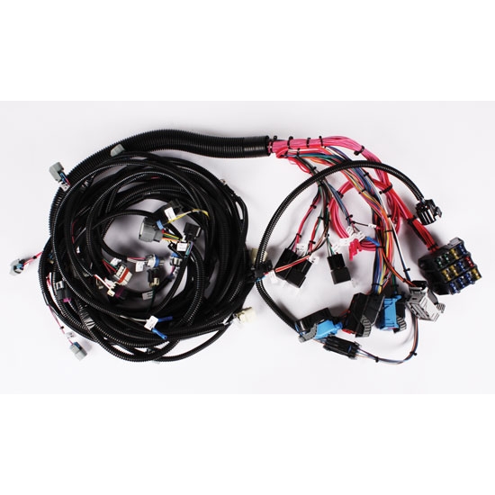 Speedway 2005-2006 LS2/4L65E Wiring Harness