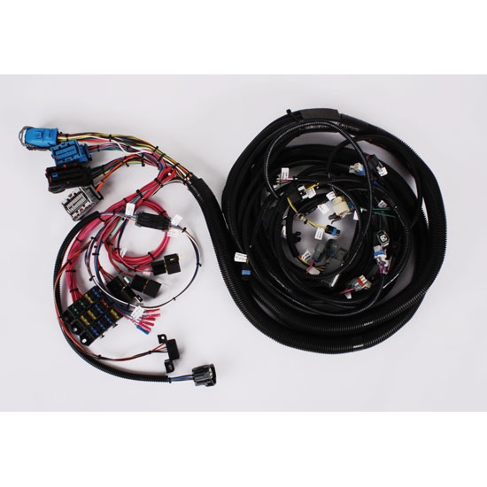 Speedway 2005-2006 LS2/4L65E Wiring Harness, Extended
