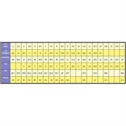 Speedway Single Layer One Piece Economy Racing Suit Combos