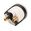 AVS GAU-200AVS2 Dual Needle Air Suspension Gauge, 0-200 psi AVS GAU-200AVS2 Dual Needle Air Suspension Gauge, 0-200 psi