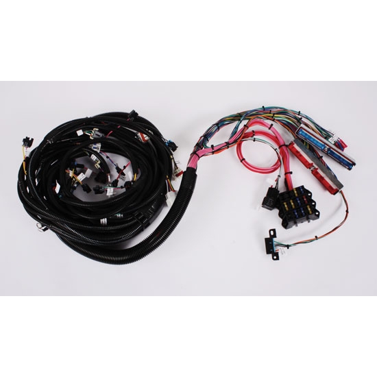 Speedway 1999-2003 Vortec V8 Wiring Harness, Extended