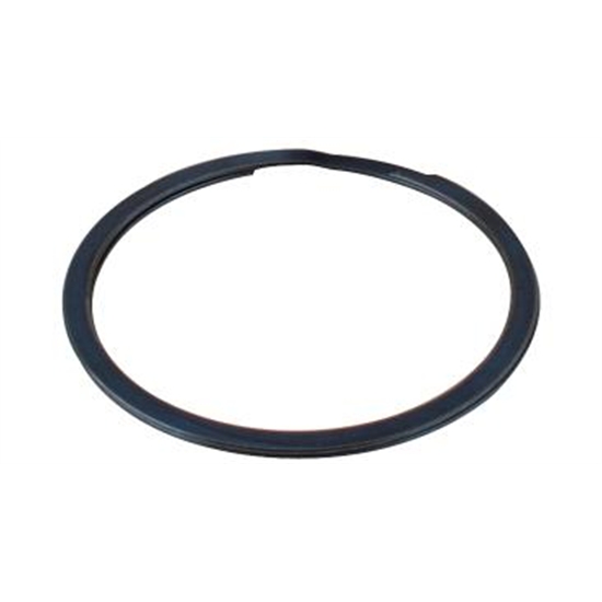 Eagle Motorsports® Motorsports Birdcage Spiral Lock