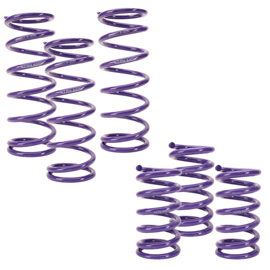 Tru-Coil IMCA Sport Mod Coil Spring Suspension Kit