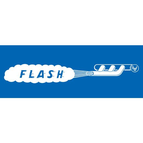 AMF/BMC Fish Mouth Flash Car Graphic