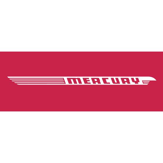 Mercury Wagon and Scooter Wagon Graphic