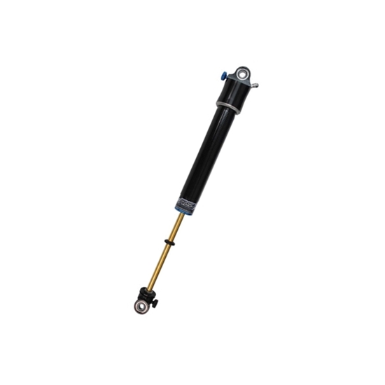 CSI RS-X2 Gas Double Adjustable Shock, Eye Adjustable