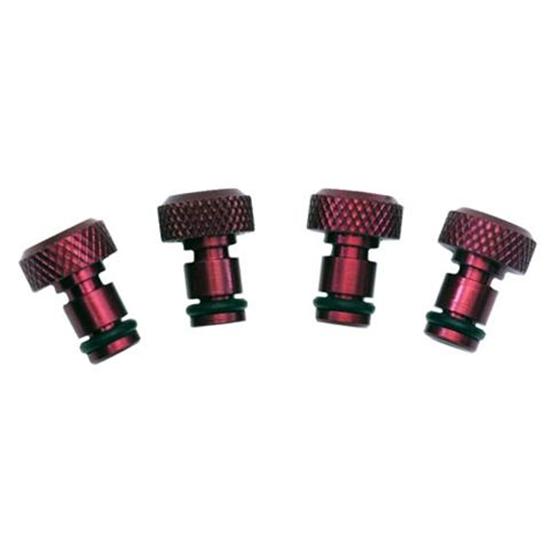 Kwik Change Products 713001 Car Wash Plugs