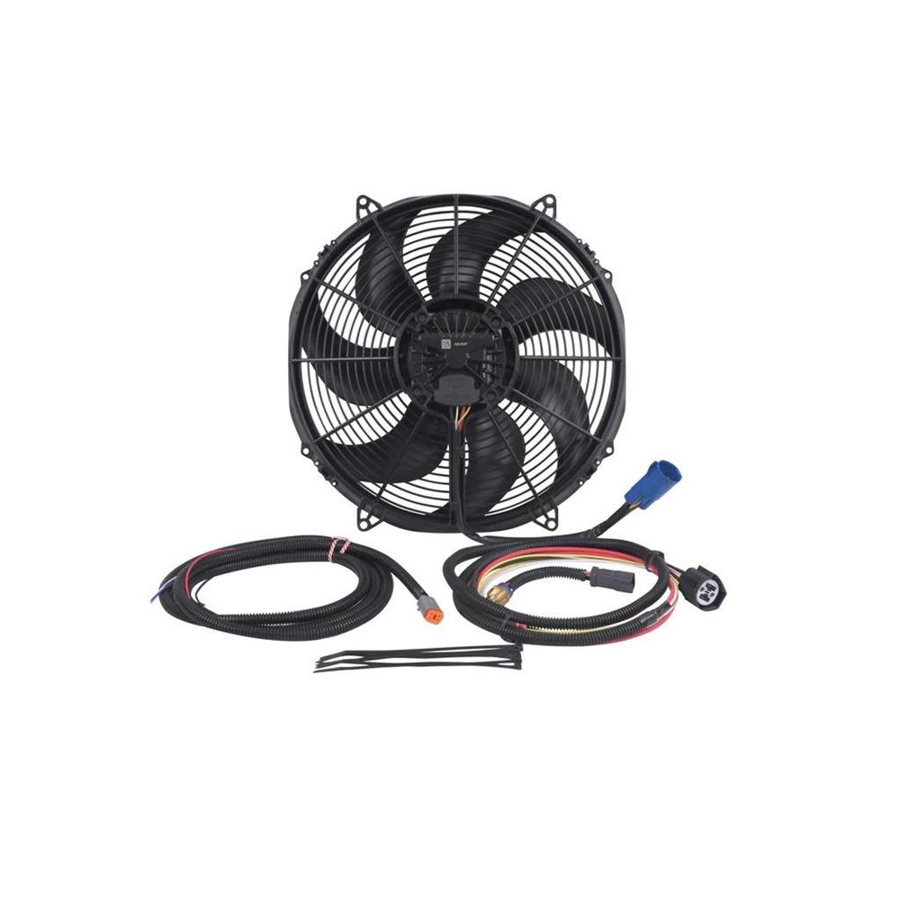 BEAST BRUSHLESS 16