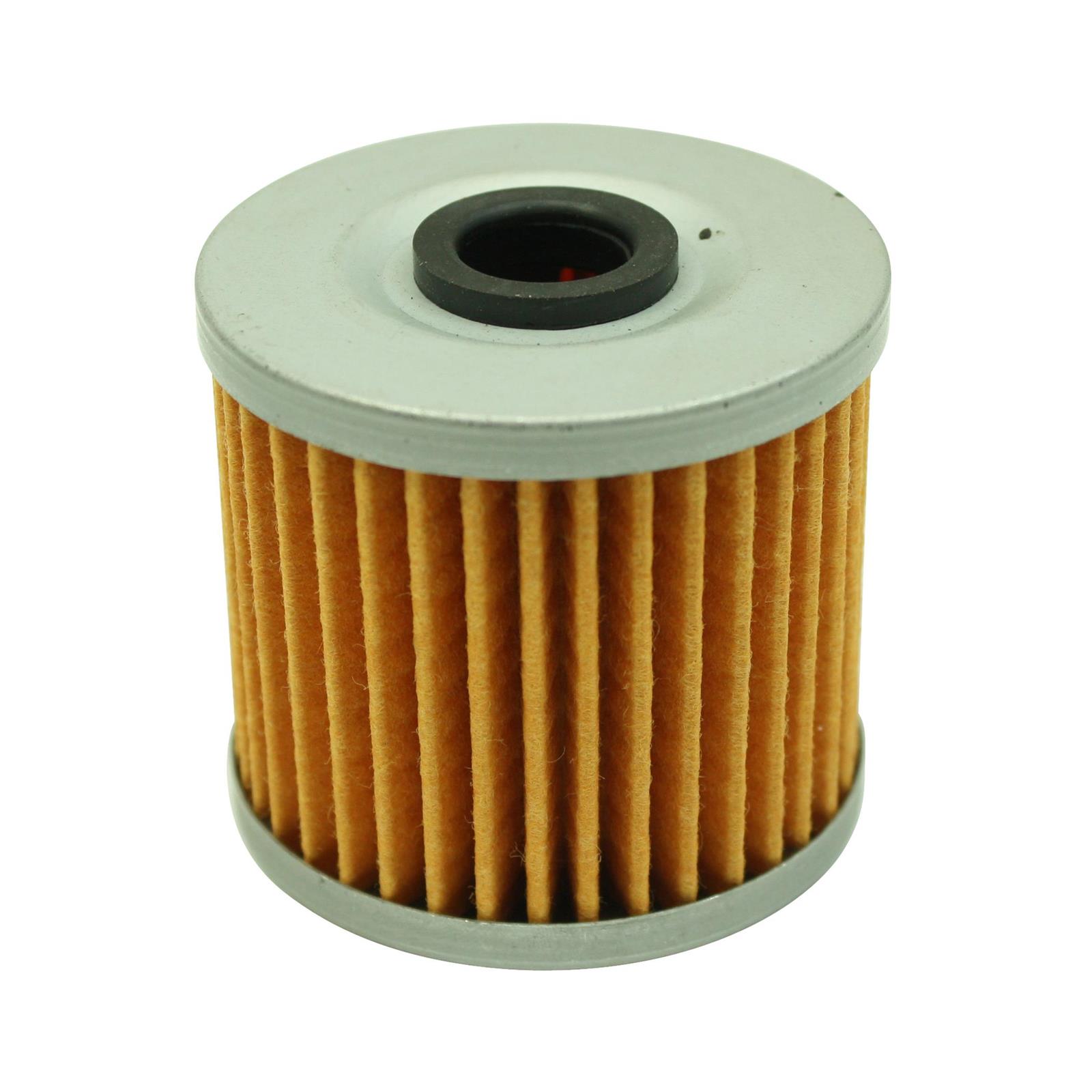 AEM 354006 High Volume Fuel Filter Element for 25200BK