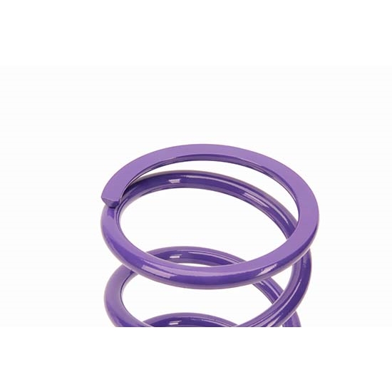 Tru-Coil® Racing Coil Springs, Rear, 5 x 10-1/2 Inch