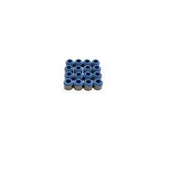 BTR VS LT KIT Valve Seal Kit, .552" ID -.342" Stem
