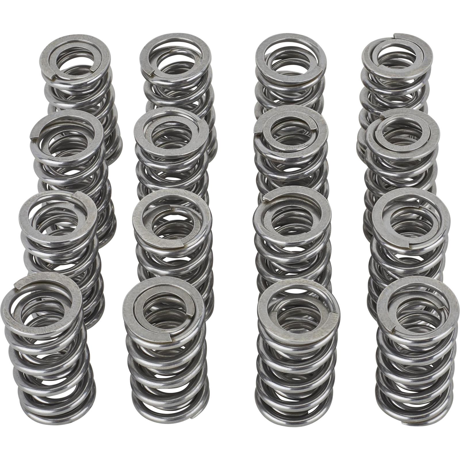 BTR SK008/BB Platinum Gen V LT4 Dual Valve Spring Kit, .660" Lift