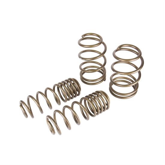 Hurst 6130010 Spring Kit