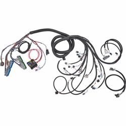 Speedway 2004-2008 Vortec V8 Wiring Harness, Extended