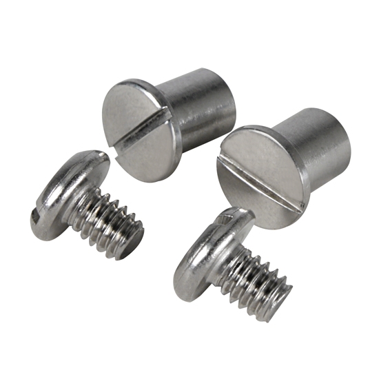 19281934 Ford Windshield Pivot Bolt & Nut Set