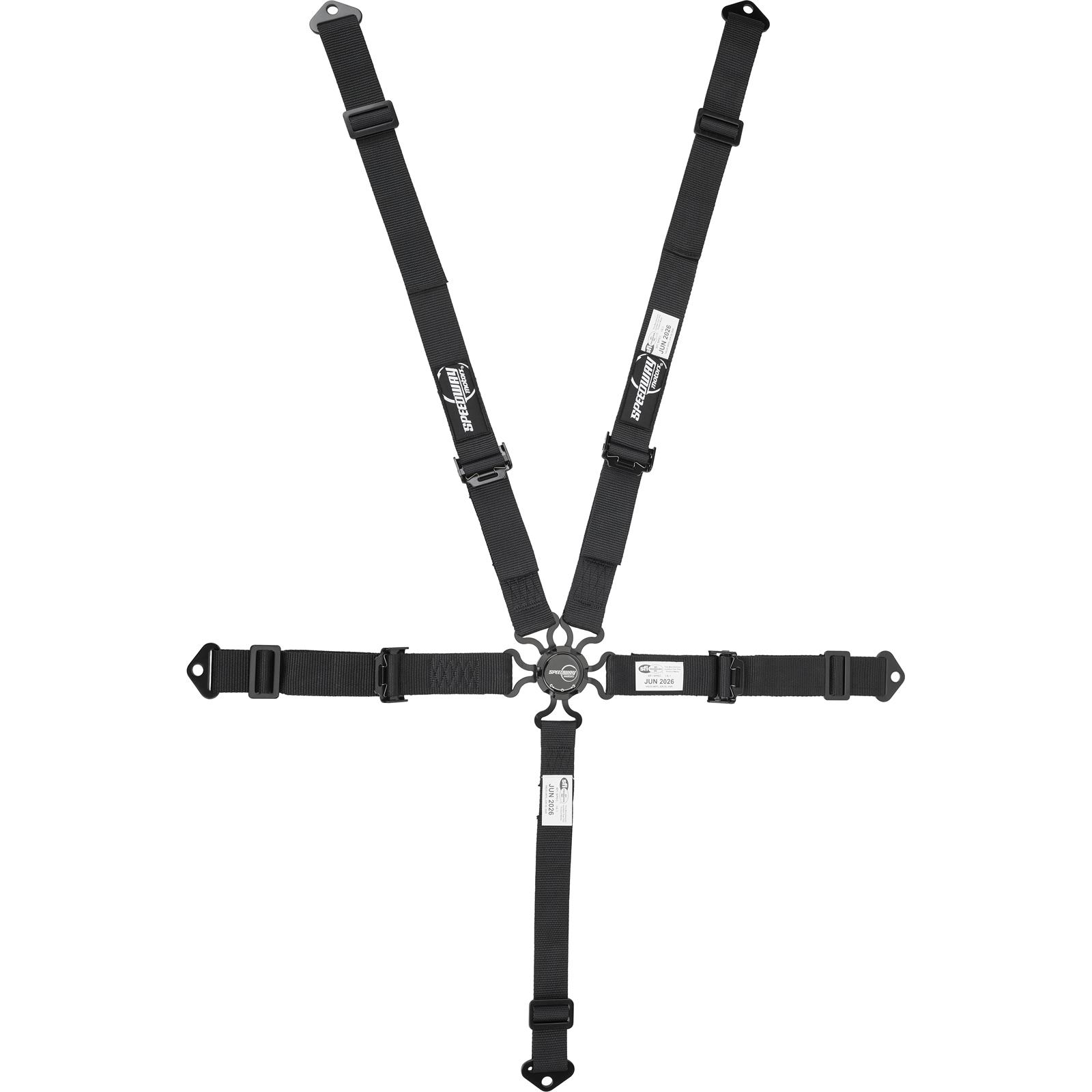 Speedway Motors 2Inch, Black, 5Point Cam Lock Belts