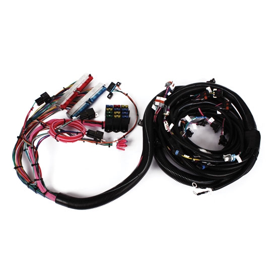 Speedway 19971998 LS1 Wiring Harness, Extended