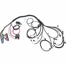 Speedway GM Engine Wiring Harness, 1999-02 LS1