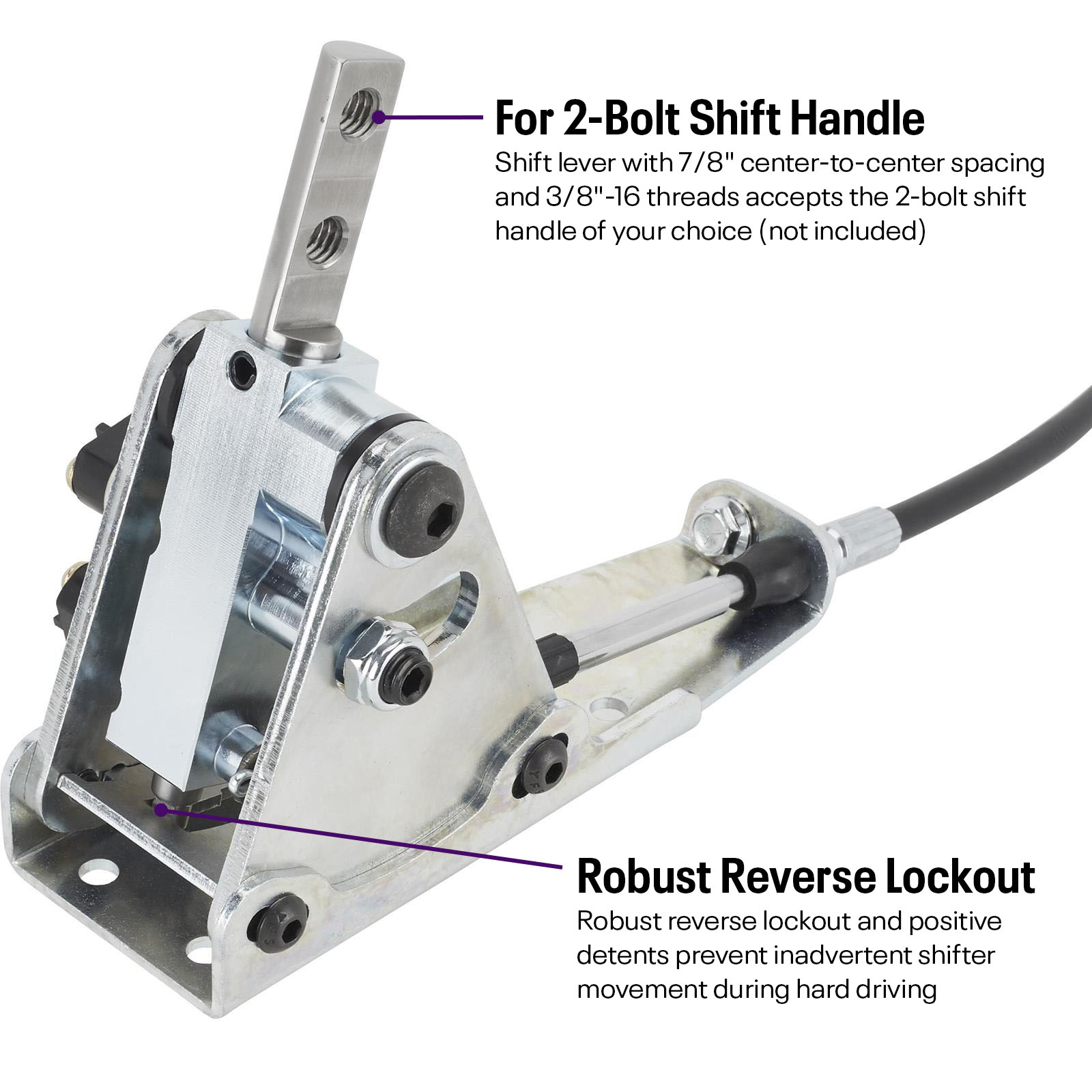 9165014_L1600_1a979f76-42e7-