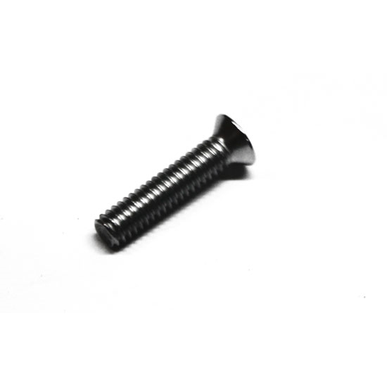 OER 9423325 Outer Door Rear View Mirror Mounting Screw