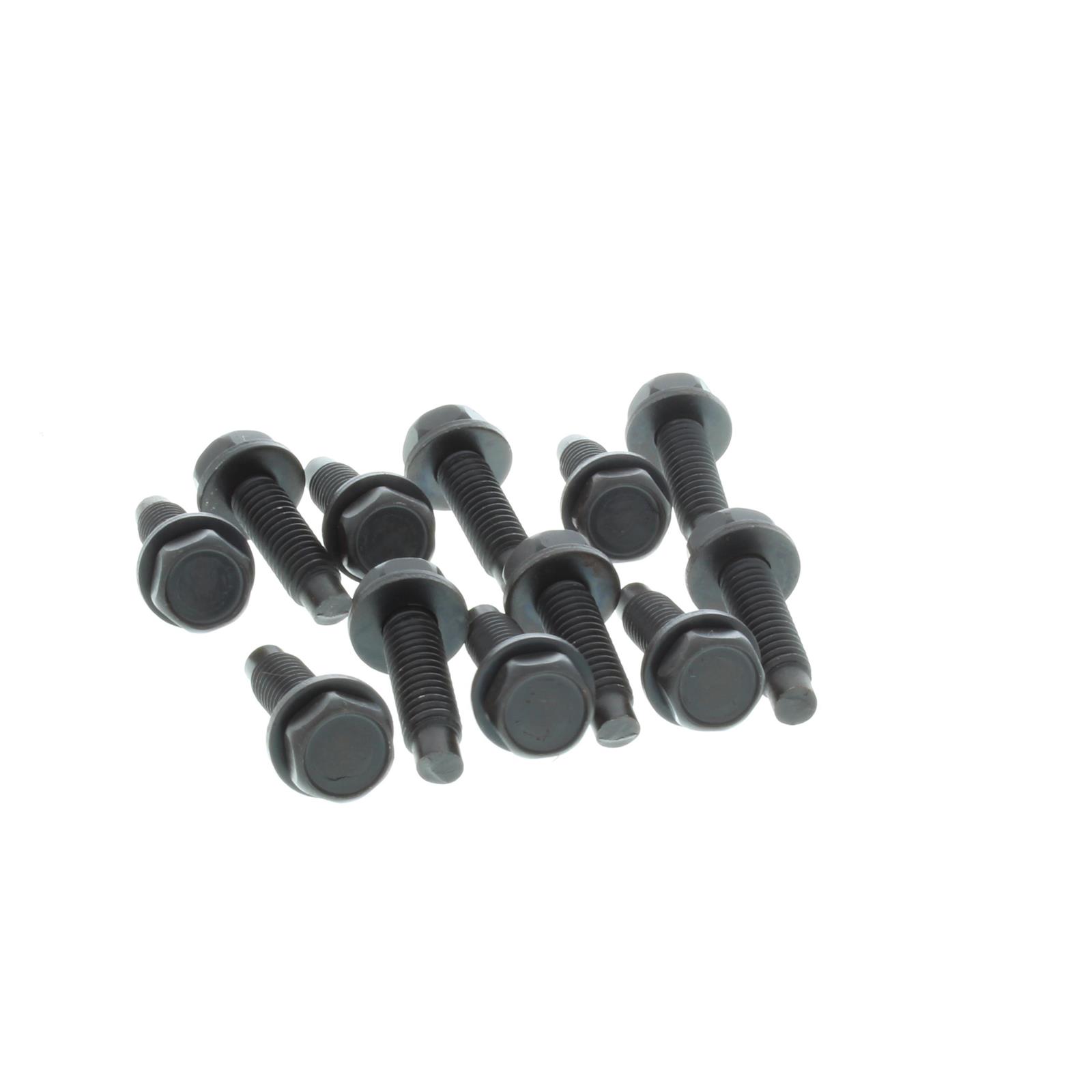 196872 Chevelle Door Hinge Bolt Kit, 12 Pieces