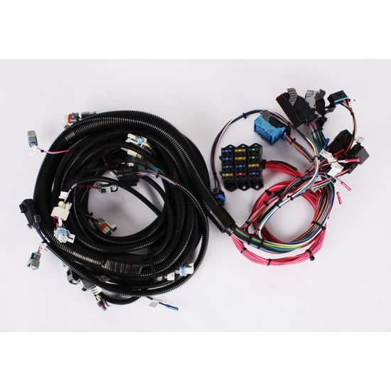 Speedway 20052006 LS2 Wiring Harness