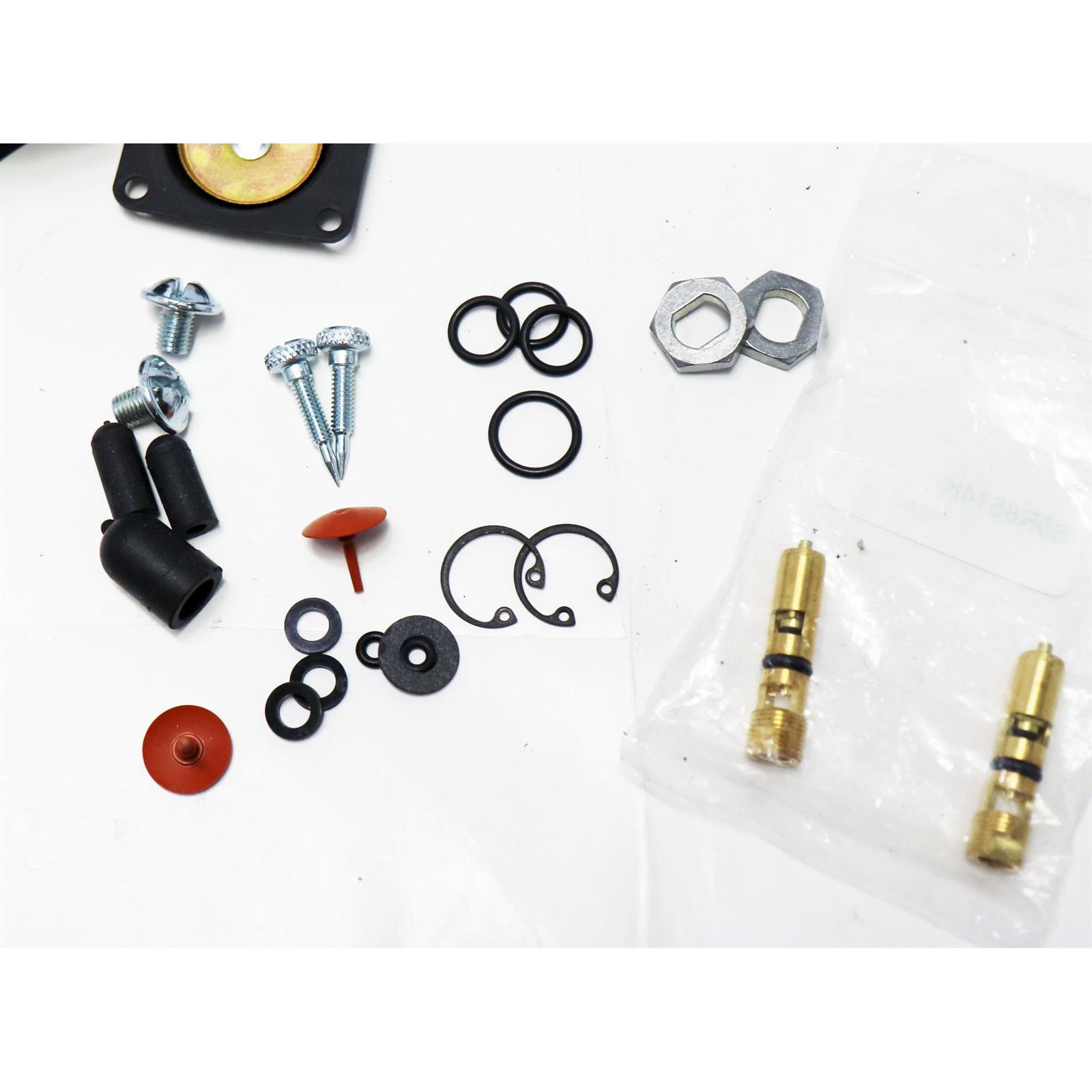 Demon 190000 Carburetor Master Rebuild Kit for Road Demon Jr.