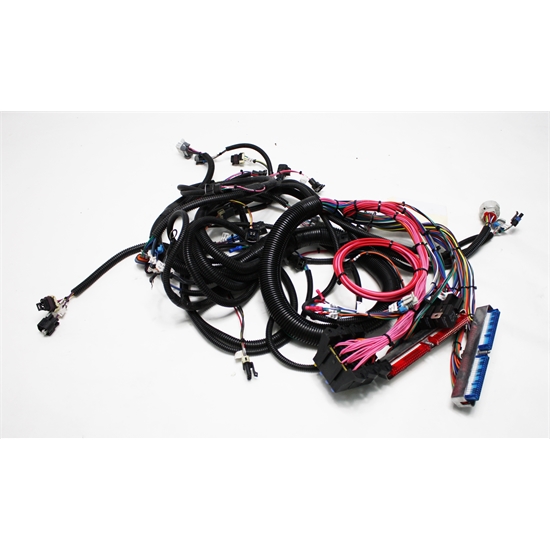 Garage Sale - Speedway GM Engine Wiring Harness, 1999-02 LS1 speedway ls1 wiring harness diagram 