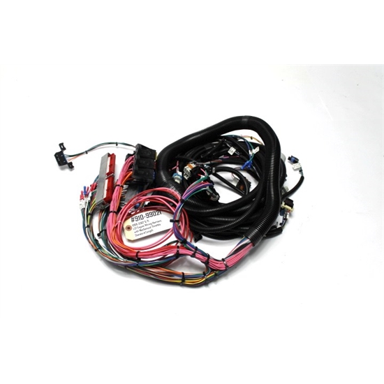 Garage Sale Speedway GM Engine Wiring Harness, 199902 LS1