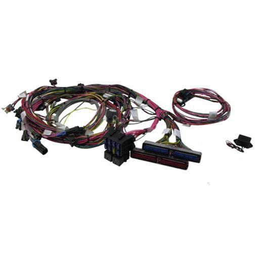 Garage Sale - Painless Wiring 60508 1999-2002 GM LS1 Engine Harness